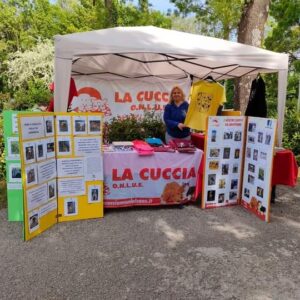 storia3